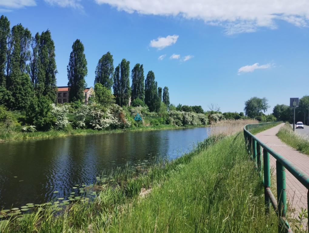 Działka ROD nad Motławą | kajaki i rowery - zdjęcie 8