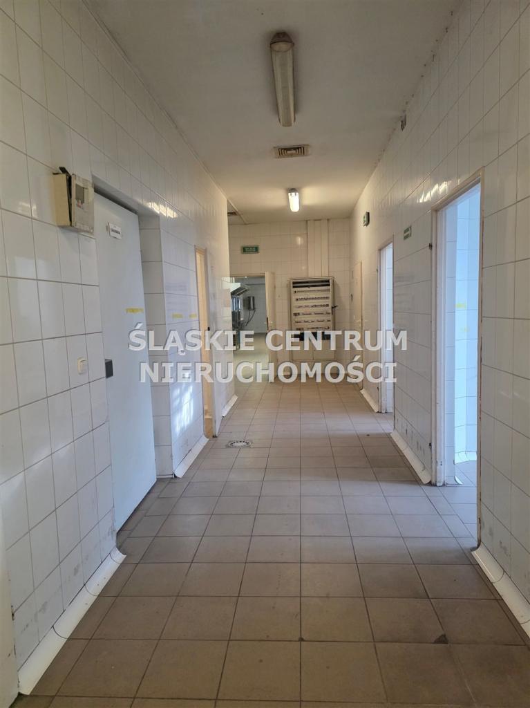Restauracja do wynajęcia, 1064 m², Dąbrowa Górnicza, Laski, Kasprzaka - zdjęcie 27