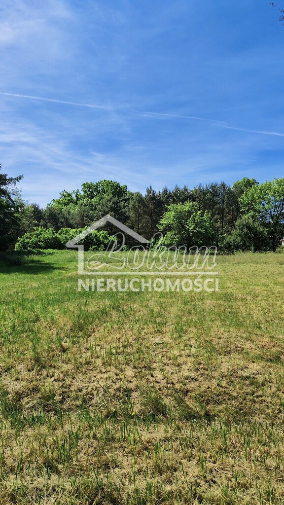 Działka budowlana 1240&nbsp;m², Sowno - zdjęcie 4