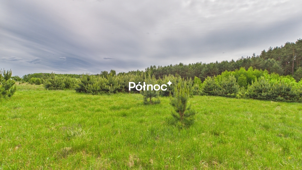 Działka rolna 3333 m², Dobry Las - zdjęcie 7