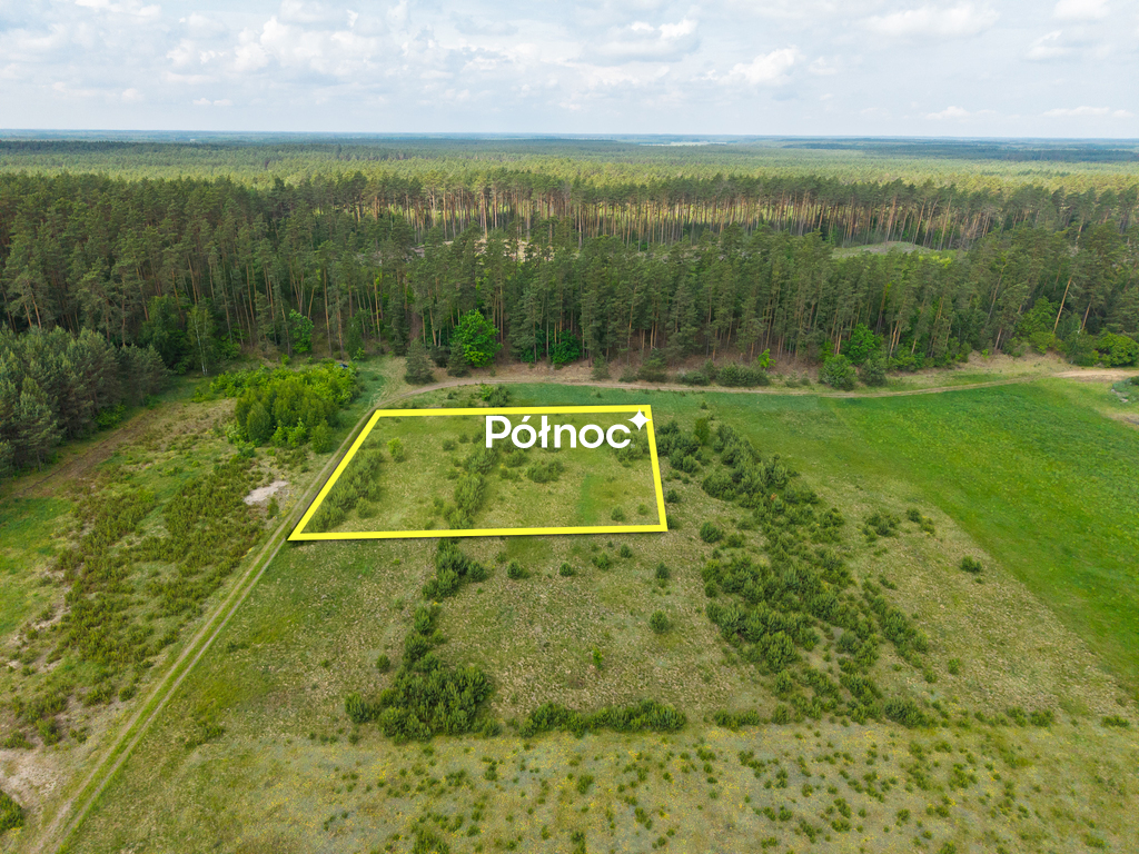 Działka rolna 3333 m², Dobry Las - zdjęcie 2