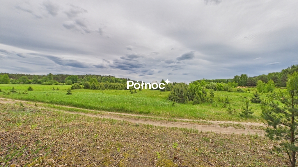 Działka rolna 3333 m², Dobry Las - zdjęcie 13