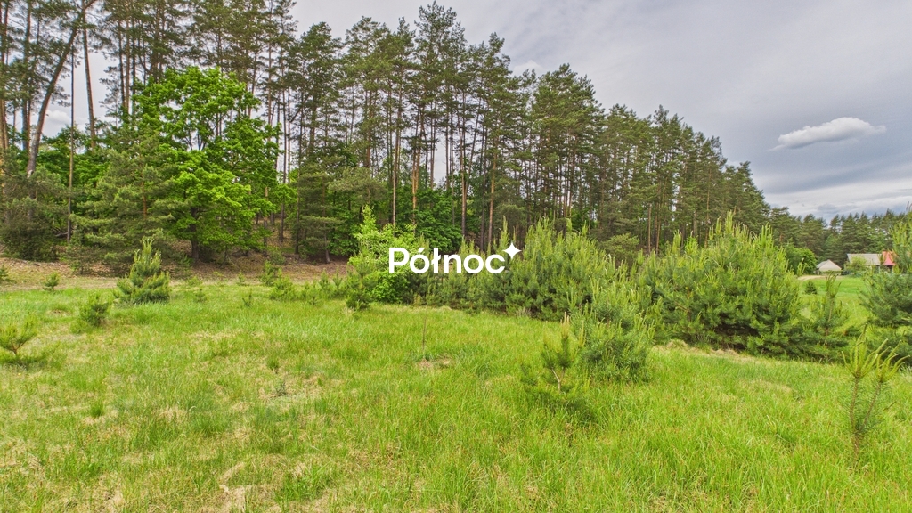 Działka rolna 3333 m², Dobry Las - zdjęcie 4