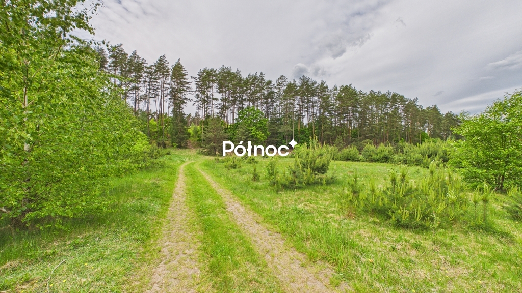 Działka rolna 3333 m², Dobry Las - zdjęcie 6