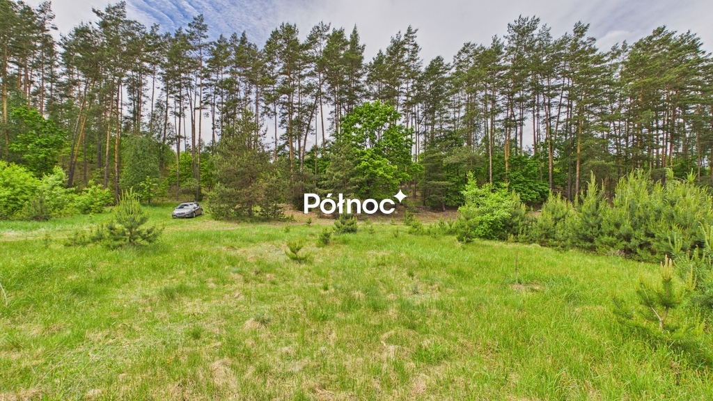 Działka rolna 3333 m², Dobry Las - zdjęcie 5