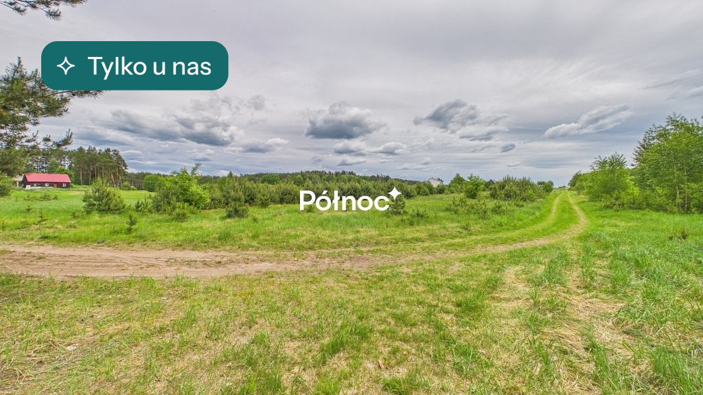 Działka rolna 3333 m², Dobry Las - zdjęcie 1