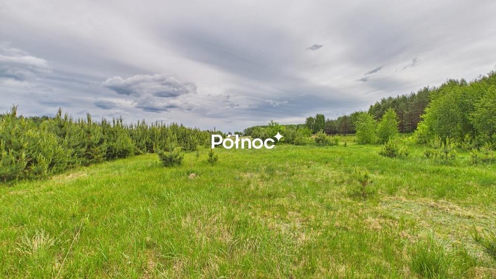 Działka rolna 3333 m², Dobry Las - zdjęcie 3