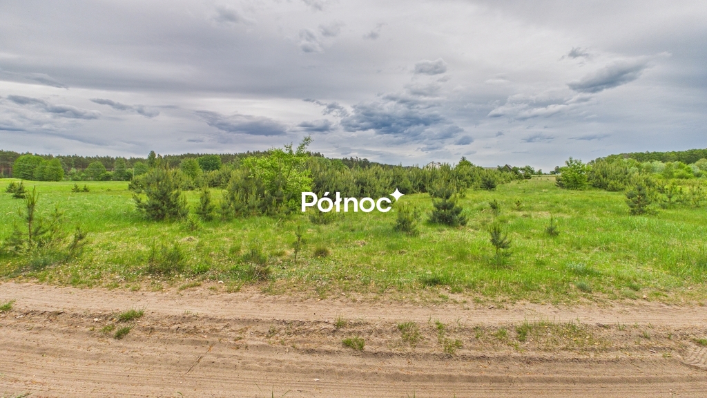 Działka rolna 3333 m², Dobry Las - zdjęcie 17