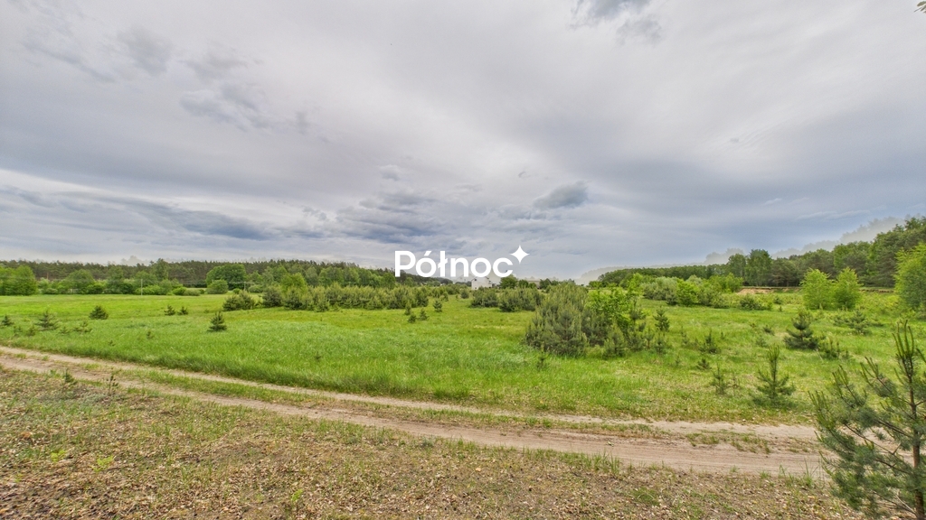 Działka rolna 3333 m², Dobry Las - zdjęcie 14