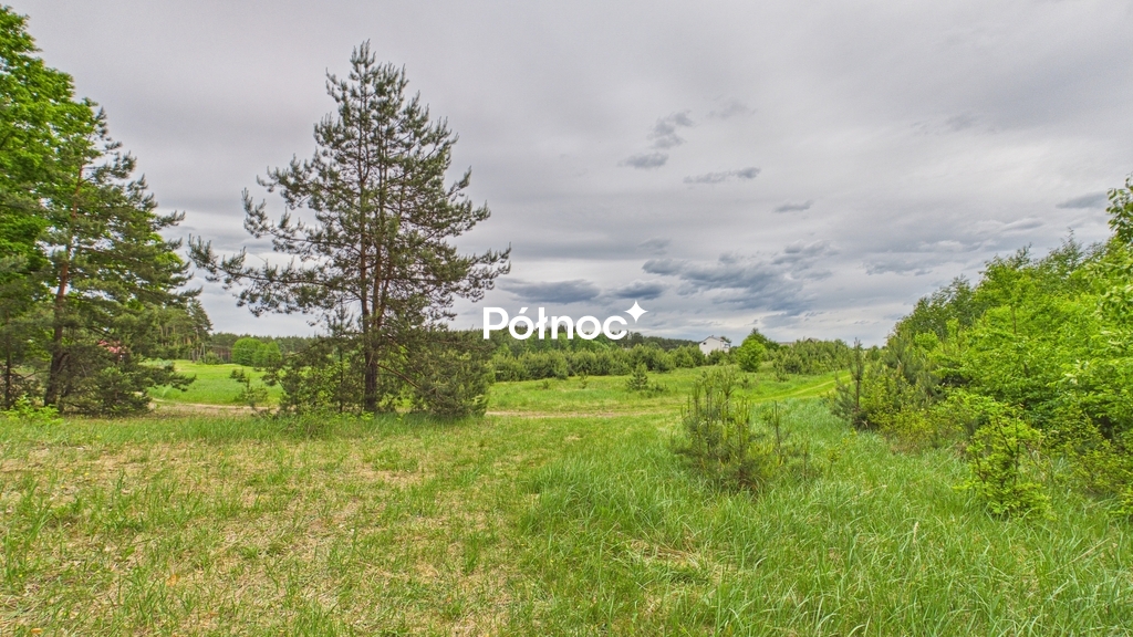 Działka rolna 3333 m², Dobry Las - zdjęcie 18