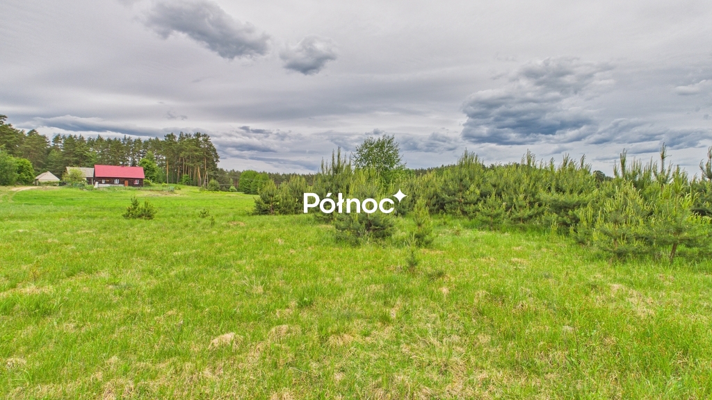 Działka rolna 3333 m², Dobry Las - zdjęcie 9