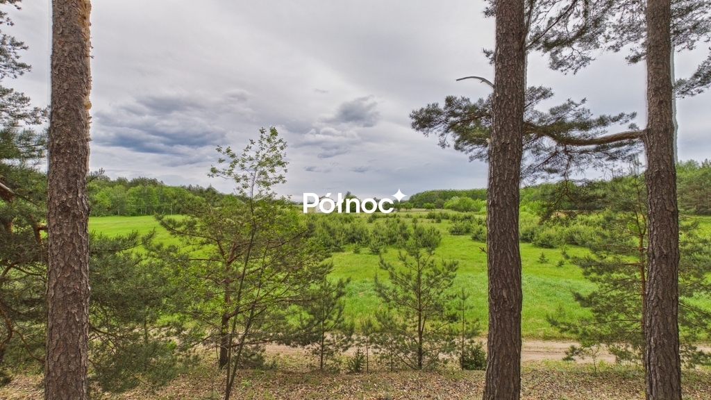 Działka rolna 3333 m², Dobry Las - zdjęcie 11