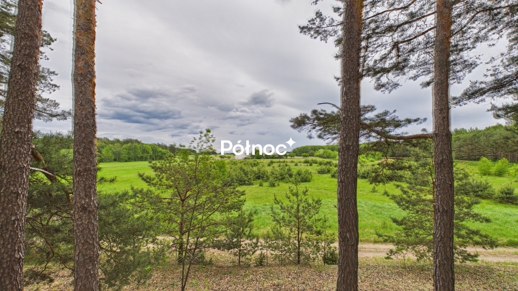 Działka rolna 3333 m², Dobry Las - zdjęcie 12