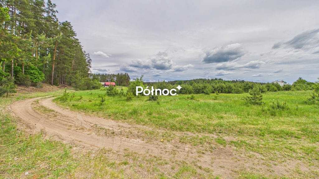 Działka rolna 3333 m², Dobry Las - zdjęcie 2