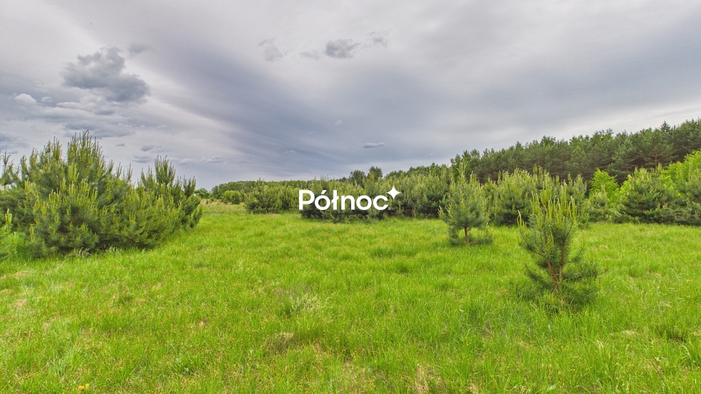 Działka rolna 3333 m², Dobry Las - zdjęcie 10