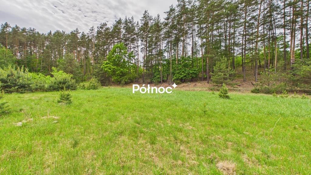 Działka rolna 3333 m², Dobry Las - zdjęcie 8
