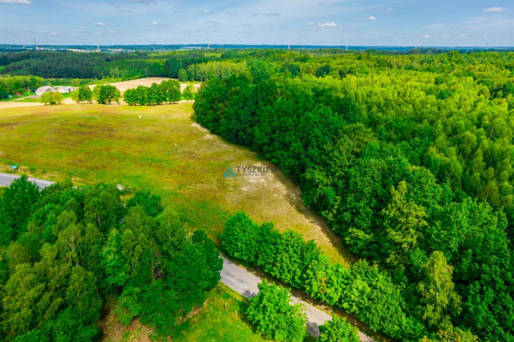 Duża działka budowlana przy lesie z MPZP Przywidz - zdjęcie 9