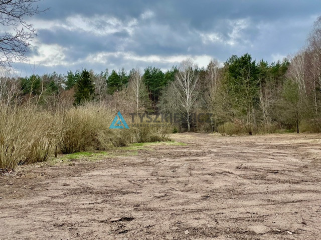Działka inwestycyjna, 2 ha, Małe Mazury - zdjęcie 22