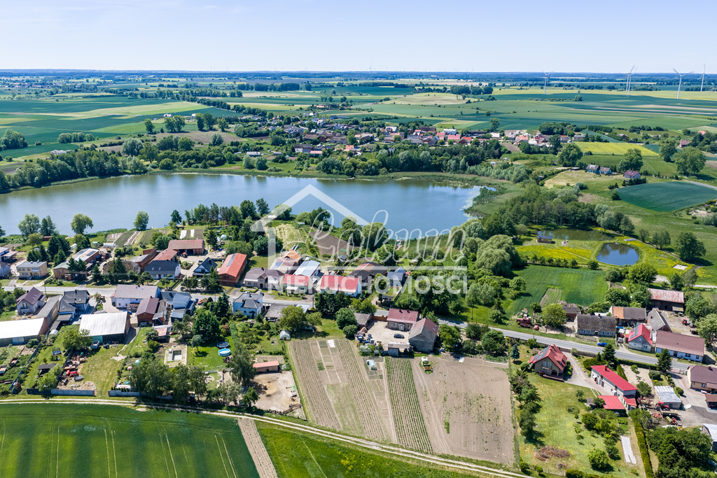 Działka rolna 5219 m², Babin - zdjęcie 11