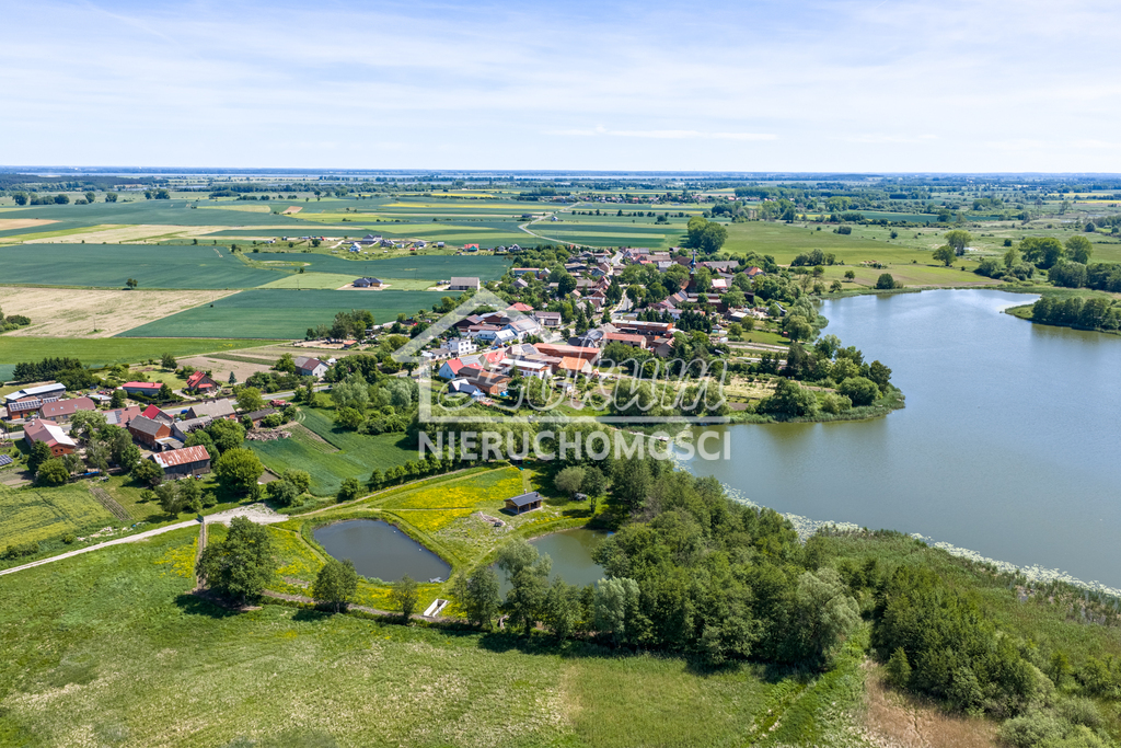 Działka rolna 5219 m², Babin - zdjęcie 8