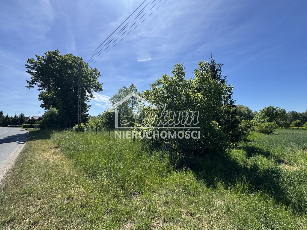 Działka rolna 5219 m², Babin - zdjęcie 5