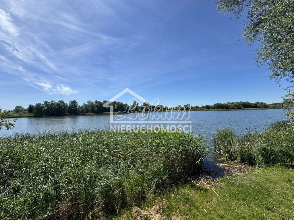 Działka rolna 5219 m², Babin - zdjęcie 1