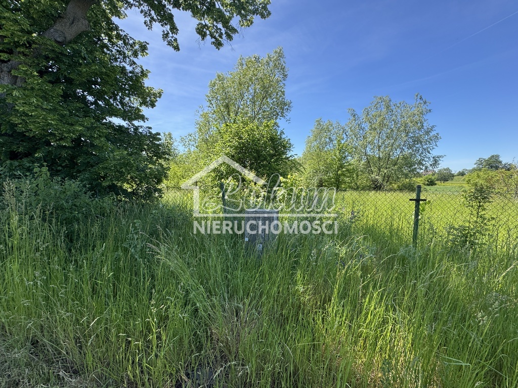Działka rolna 5219 m², Babin - zdjęcie 3