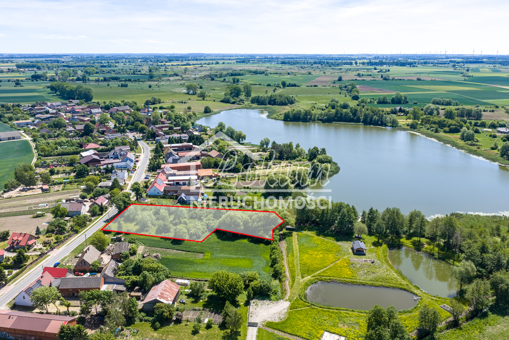 Działka rolna 5219 m², Babin - zdjęcie 10