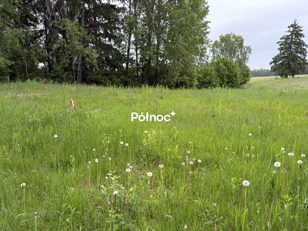 Działka budowlana 1505 m², Nieszki - zdjęcie 7