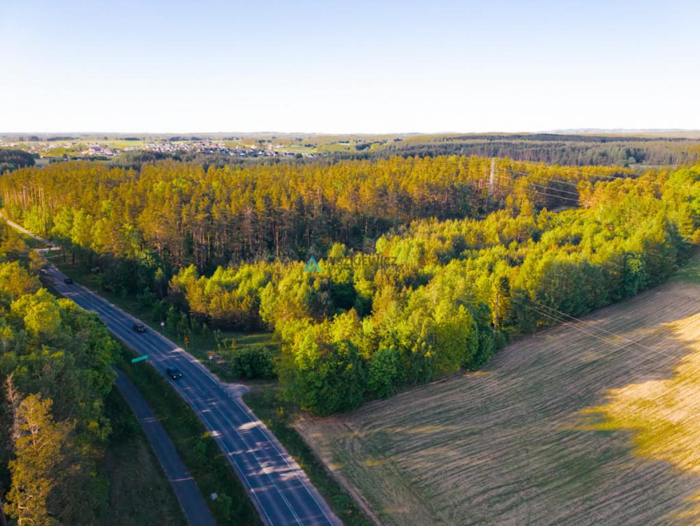 Działka pod zabudowę usługową i produkcyjną cyjn - zdjęcie 2