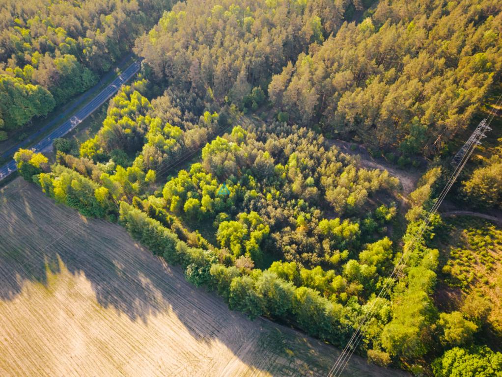 Działka pod zabudowę usługową i produkcyjną cyjn - zdjęcie 8