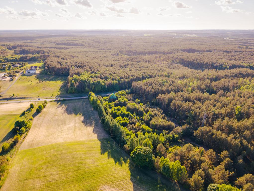 Działka pod zabudowę usługową i produkcyjną cyjn - zdjęcie 5