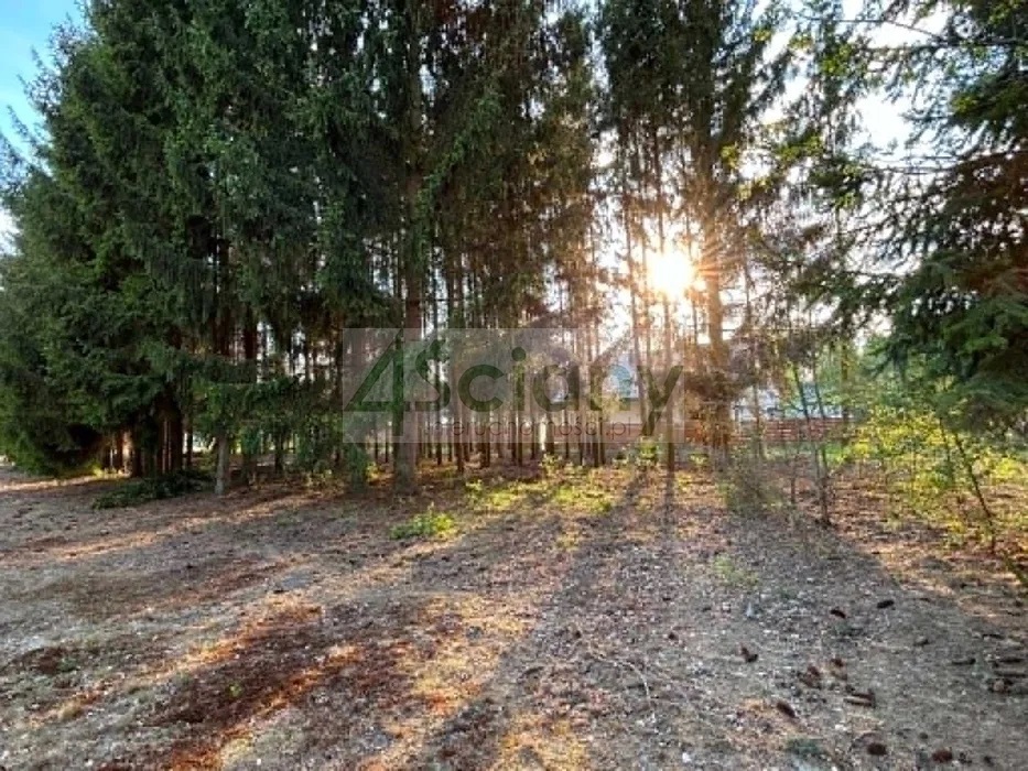 Działka budowlana 1575 m², Radonie - zdjęcie 1
