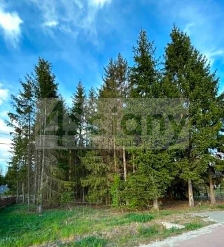 Działka budowlana 1575 m², Radonie - zdjęcie 3