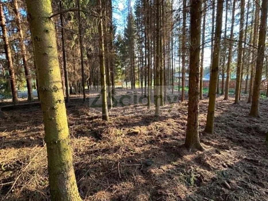 Działka budowlana 1575 m², Radonie - zdjęcie 2