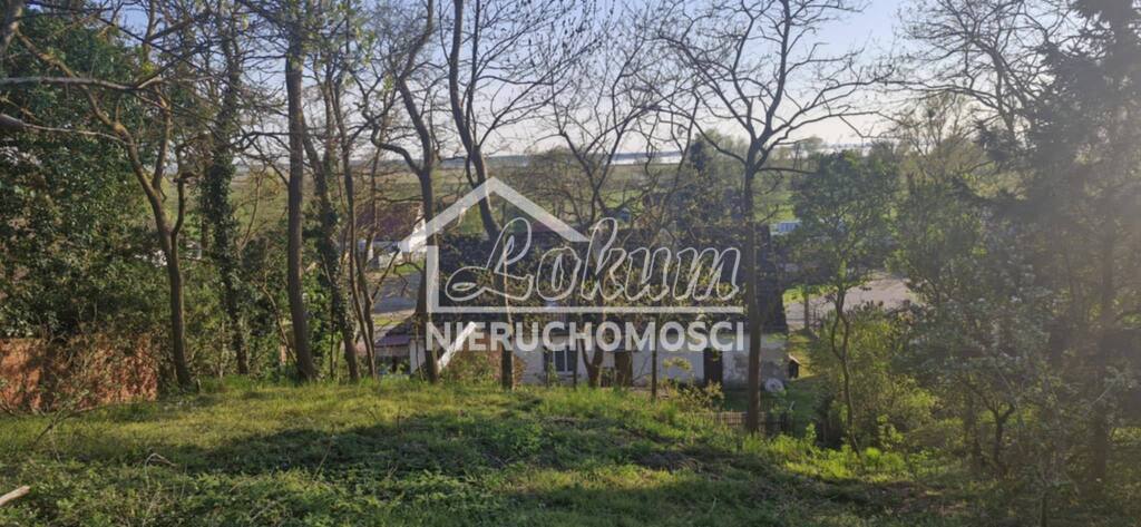 Dom 184 m², Skoszewo - zdjęcie 7