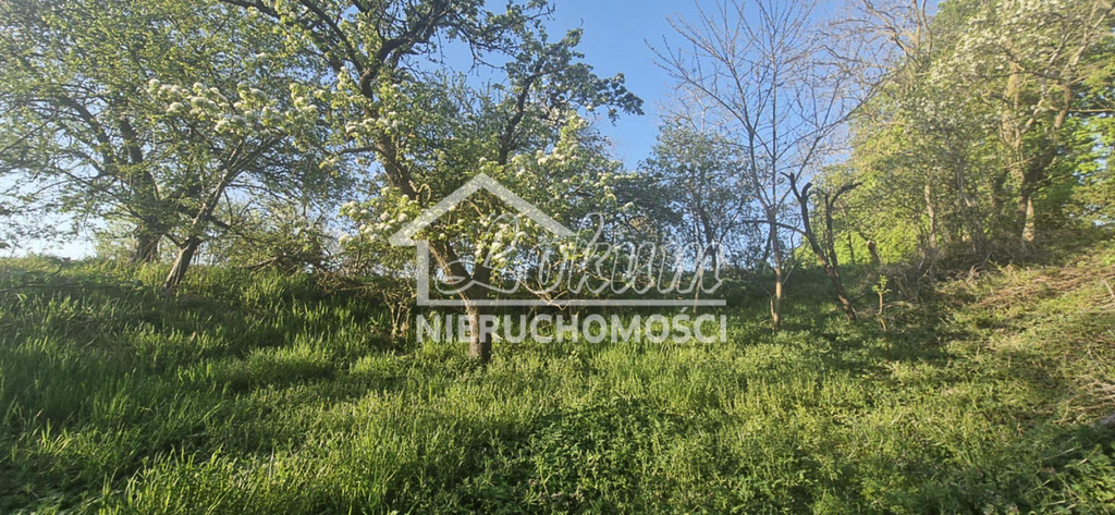 Dom 184&nbsp;m², Skoszewo - zdjęcie 7
