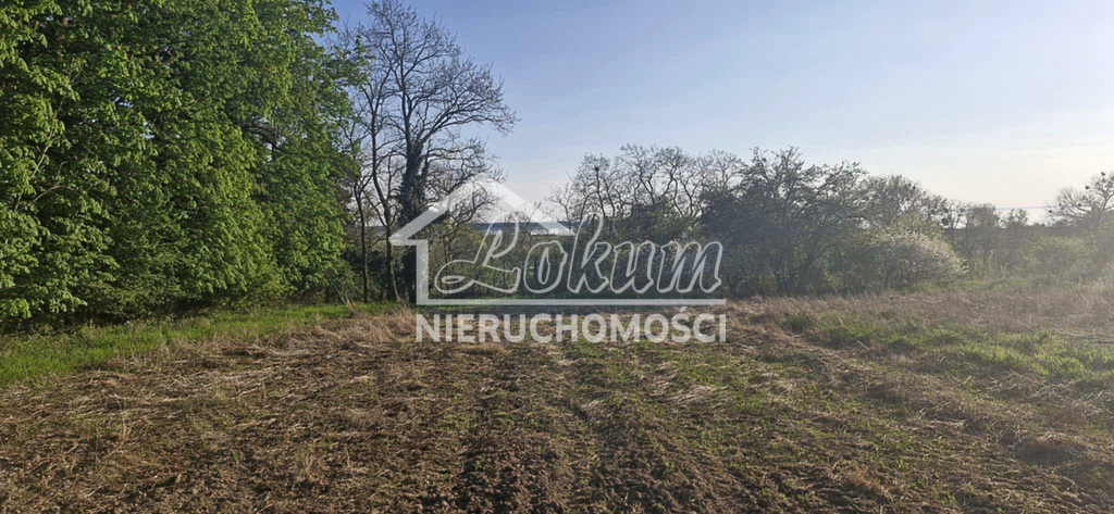 Dom 184&nbsp;m², Skoszewo - zdjęcie 5