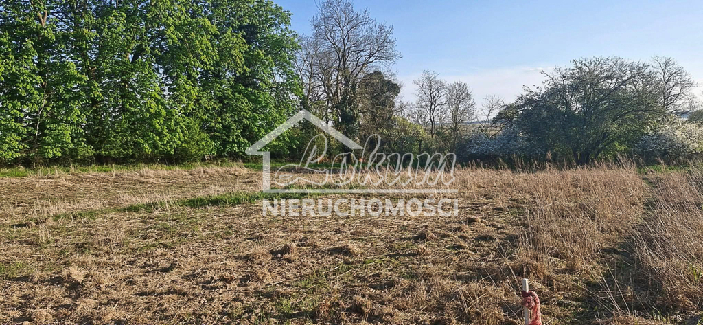 Dom 184&nbsp;m², Skoszewo - zdjęcie 6