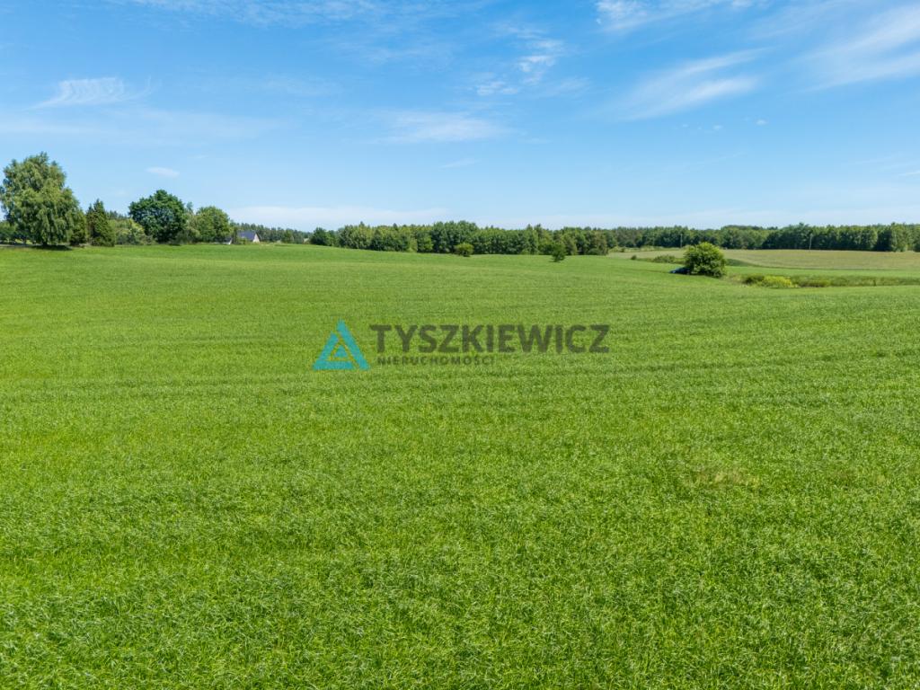 2 ha ziemi na Kaszubach | Klukowa Huta | MPZP - zdjęcie 16