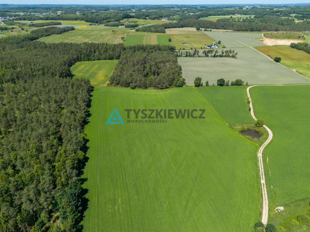 2 ha ziemi na Kaszubach | Klukowa Huta | MPZP - zdjęcie 4