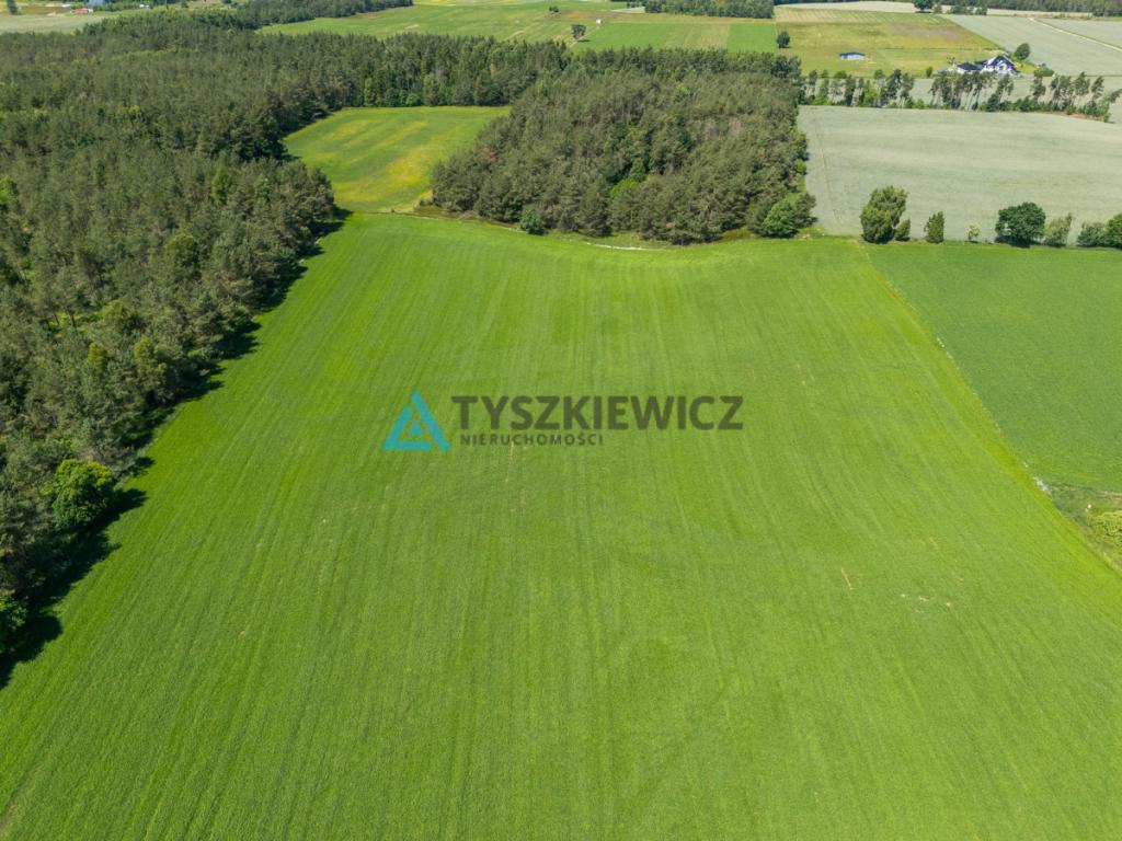 2 ha ziemi na Kaszubach | Klukowa Huta | MPZP - zdjęcie 11