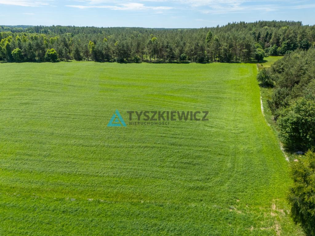 2 ha ziemi na Kaszubach | Klukowa Huta | MPZP - zdjęcie 13