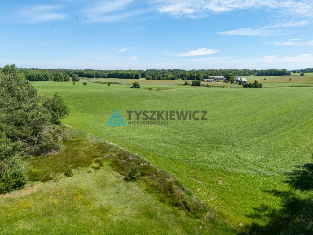 2 ha ziemi na Kaszubach | Klukowa Huta | MPZP - zdjęcie 15