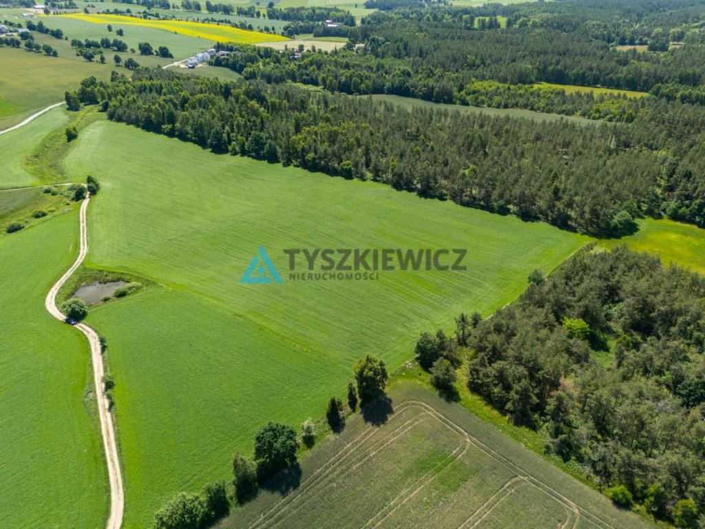 2 ha ziemi na Kaszubach | Klukowa Huta | MPZP - zdjęcie 5