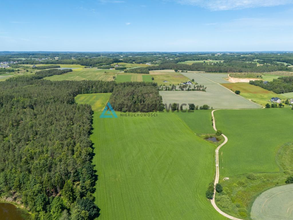 2 ha ziemi na Kaszubach | Klukowa Huta | MPZP - zdjęcie 9