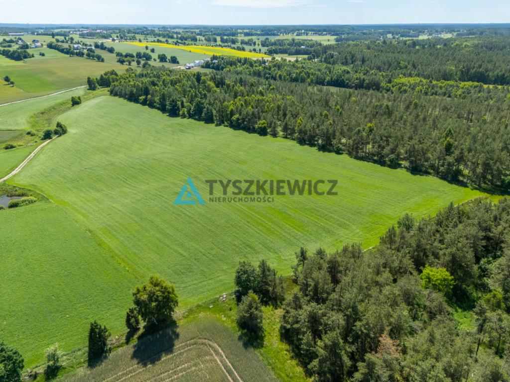 2 ha ziemi na Kaszubach | Klukowa Huta | MPZP - zdjęcie 10