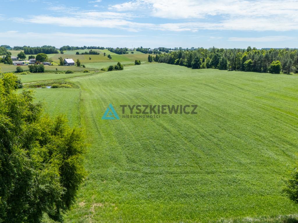 2 ha ziemi na Kaszubach | Klukowa Huta | MPZP - zdjęcie 14