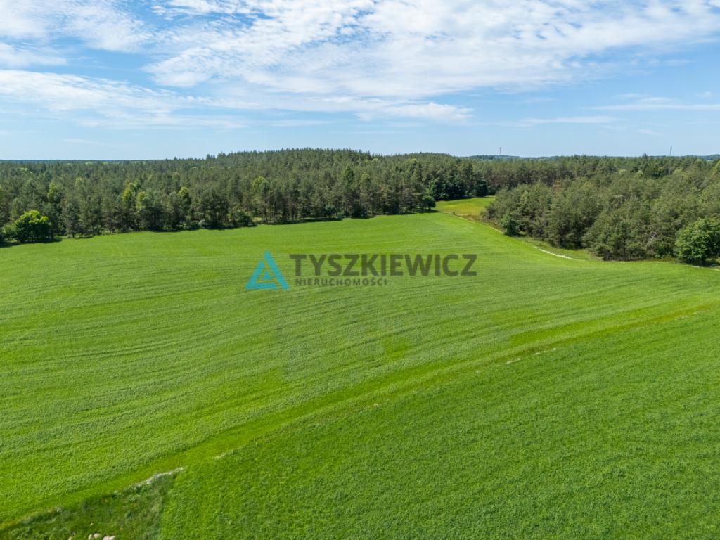 2 ha ziemi na Kaszubach | Klukowa Huta | MPZP - zdjęcie 12