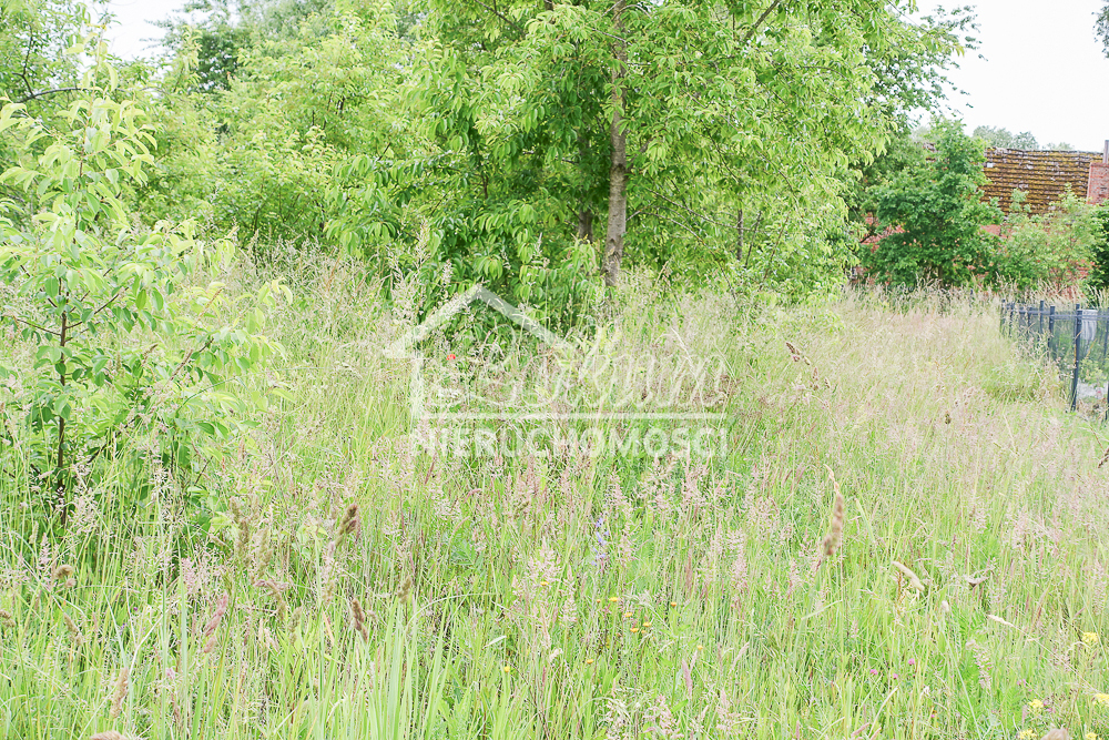 Działka budowlana 783 m², Dobra - zdjęcie 14